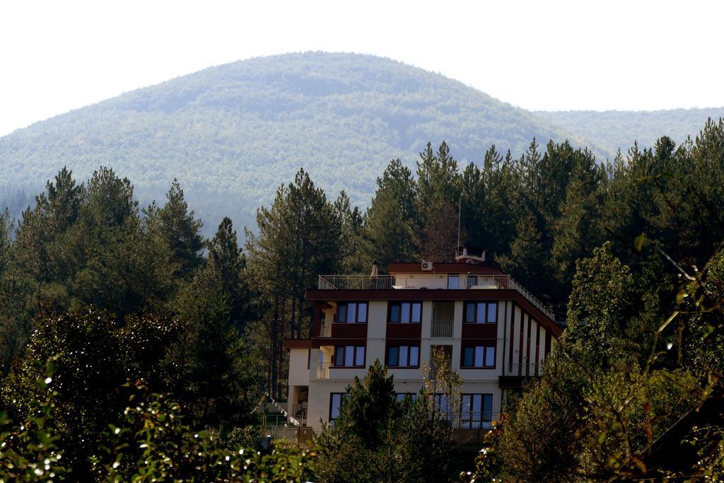 Mala Planina Guest House Iskrets Eksteriør bilde