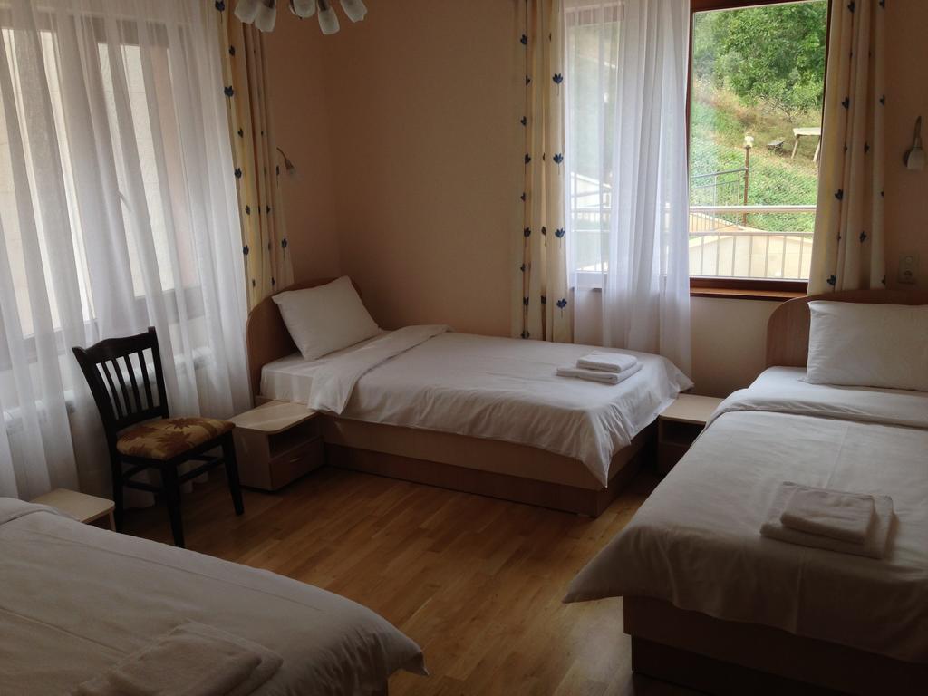 Mala Planina Guest House Iskrets Rom bilde
